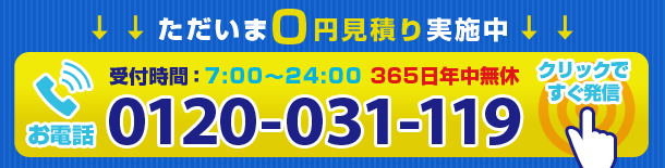 0120-031-119