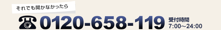 0120-658-119
