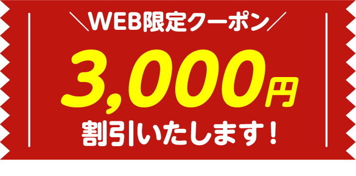 web限定クーポン3000円割引いたします